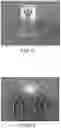 Fig. 09 - SUSTAINED-RELEASE PHEROMONE PREPARATION