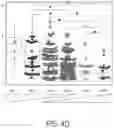 Fig. 08 - METHODS AND COMPOSITIONS RELATED TO GUT TRANSIT MEASUREMENT