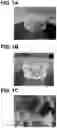 Fig. 02 - NUT PRODUCT