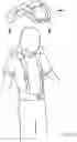 Fig. 13 - Protective apparel and support apparatus and method of use