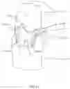 Fig. 23 - Protective apparel and support apparatus and method of use