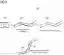 Fig. 06 - RISK MANAGEMENT FOR ROBOTIC CATHETER NAVIGATION SYSTEMS