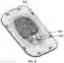 Fig. 09 - MASSAGE DEVICE CONTROLLING THE OPERATION OF THE ARM MASSAGE UNIT THROUGH ELECTRODES