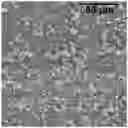 Fig. 01 - HPMC CAPSULE WITH REDUCED POWDER RETENTION