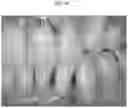 Fig. 09 - A PREPARATION FOR PERIODONTAL TISSUE AND A KIT COMPRISING THE SAME