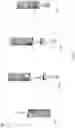 Fig. 09 - LATERAL FLOW TEST KITS