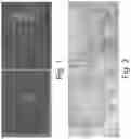 Fig. 02 - MICROPRINTING TECHNIQUES FOR PRINTING SECURITY SYMBOLS ON A SUBSTRATE