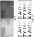 Fig. 06 - MICROPRINTING TECHNIQUES FOR PRINTING SECURITY SYMBOLS ON A SUBSTRATE