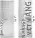 Fig. 08 - MICROPRINTING TECHNIQUES FOR PRINTING SECURITY SYMBOLS ON A SUBSTRATE