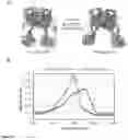 Fig. 10 - RED LIGHT-CONTROLLED PROTEIN DIMERIZATION SYSTEMS