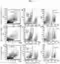 Fig. 07 - ISOLATION AND FUNCTIONAL ANALYSIS OF EPITHELIAL PROGENITOR CELLS FROM THE HUMAN LUNG
