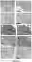 Fig. 06 - A LIVE AND ATTENUATED FLAVIVIRUS COMPRISING A MUTATED M PROTEIN
