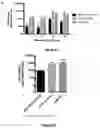 Fig. 08 - A LIVE AND ATTENUATED FLAVIVIRUS COMPRISING A MUTATED M PROTEIN