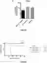 Fig. 09 - A LIVE AND ATTENUATED FLAVIVIRUS COMPRISING A MUTATED M PROTEIN