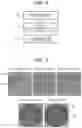 Fig. 02 - AUTOMATIC ANALYZER AND AUTOMATIC ANALYSIS METHOD