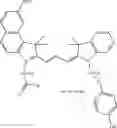 Fig. 43 - Polymethine compounds and their use as fluorescent labels