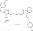 Fig. 45 - Polymethine compounds and their use as fluorescent labels