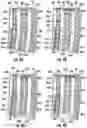 Fig. 06 - Ratcheting magazine assembly