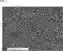 Fig. 08 - ODOR SENSOR AND MANUFACTURING METHOD OF THE SAME