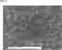 Fig. 09 - ODOR SENSOR AND MANUFACTURING METHOD OF THE SAME