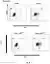 Fig. 07 - METHODS FOR DIAGNOSING IMMEDIATE HYPERSENSITIVY REACTION