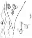 Fig. 15 - System for Receiving Communications