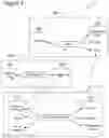 Fig. 02 - AUGMENTED QUERY VALIDATION AND REALIZATION
