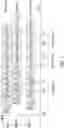 Fig. 08 - FINDING OUTLIERS IN SIMILAR TIME SERIES SAMPLES