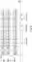 Fig. 09 - FINDING OUTLIERS IN SIMILAR TIME SERIES SAMPLES