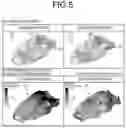 Fig. 06 - OPTIMIZATION ANALYSIS METHOD AND DEVICE FOR JOINING LOCATIONS OF AUTOMOTIVE BODY