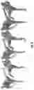 Fig. 09 - Generative nonlinear human shape models