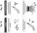 Fig. 02 - SYSTEM AND METHOD FOR PROFILING ANTIBODIES WITH HIGH-CONTENT SCREENING (HCS)