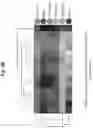 Fig. 09 - SYSTEM AND METHOD FOR PROFILING ANTIBODIES WITH HIGH-CONTENT SCREENING (HCS)