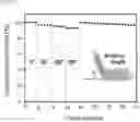 Fig. 12 - DEXTRIN-DADMAC BASED DOUBLE NETWORK POLYMER GEL ELECTROLYTE, METHOD FOR PREPARING THE SAME AND ENERGY STORAGE DEVICE INCLUDING THE SAME