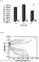 Fig. 09 - Composite catalyst for positive electrode of aqueous rechargeable battery, method for preparing the composite catalyst, positive electrode for aqueous rechargeable battery including the composite catalyst and aqueous rechargeable battery including the positive electrode