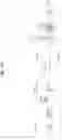 Fig. 35 - Apparatus and method for transmitting and receiving signals in wireless optical communication system