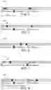 Fig. 05 - Sensing reference signal configuration