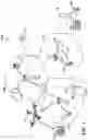 Fig. 02 - SIDELINK RELAY ROUTING OPTIONS FOR TRANSMISSION OF DATA FROM WIRELESS COMMUNICATION DEVICE TO NETWORK