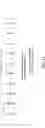 Fig. 43 - Device communication using a reduced channel bandwidth