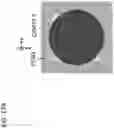 Fig. 40 - SAMPLE HOLDER AND SUPERCONDUCTING QUANTUM COMPUTER