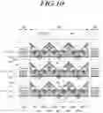 Fig. 14 - DISPLAY PANEL AND DISPLAY DEVICE