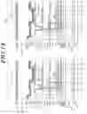Fig. 19 - DISPLAY PANEL AND DISPLAY DEVICE