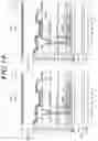 Fig. 20 - DISPLAY PANEL AND DISPLAY DEVICE
