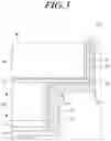 Fig. 04 - Flexible display apparatus including dummy pattern between wirings