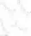 Fig. 1024 - ORGANIC LIGHT EMITTING DEVICE
