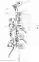 Fig. 02 - AGRICULTURAL TILLAGE DEVICE
