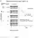 Fig. 02 - COMPOSITIONS AND METHODS FOR A UNIVERSAL CLINICAL TEST FOR OLFACTORY DYSFUNCTION