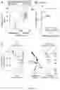Fig. 09 - COMPOSITIONS AND METHODS FOR A UNIVERSAL CLINICAL TEST FOR OLFACTORY DYSFUNCTION