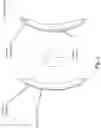 Fig. 02 - BIOENGINEERED CORNEAL GRAFTS