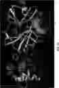 Fig. 02 - SARS-COV-2 INHIBITORS